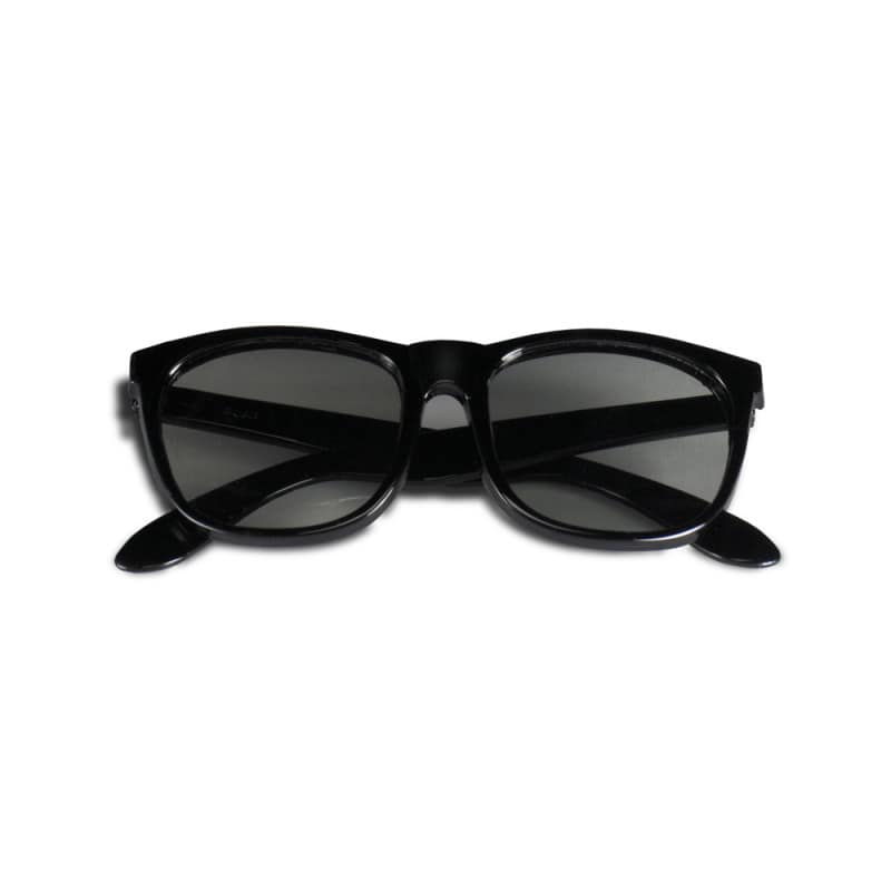 Polarized Glasses for the Fly-S Stereopsis Test