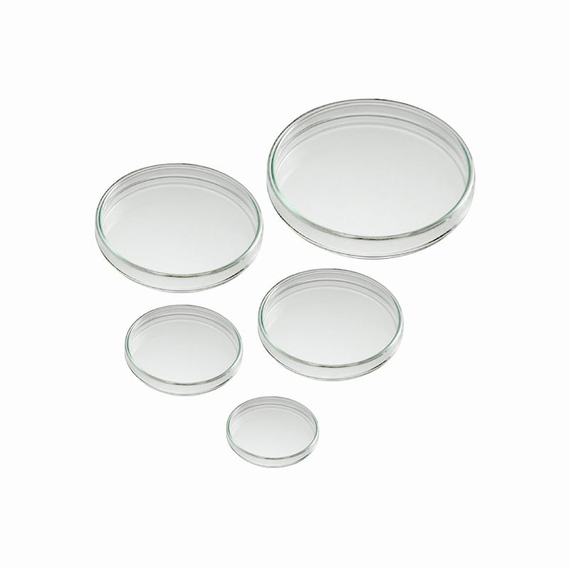 Petri Dish 80 x 15 mm