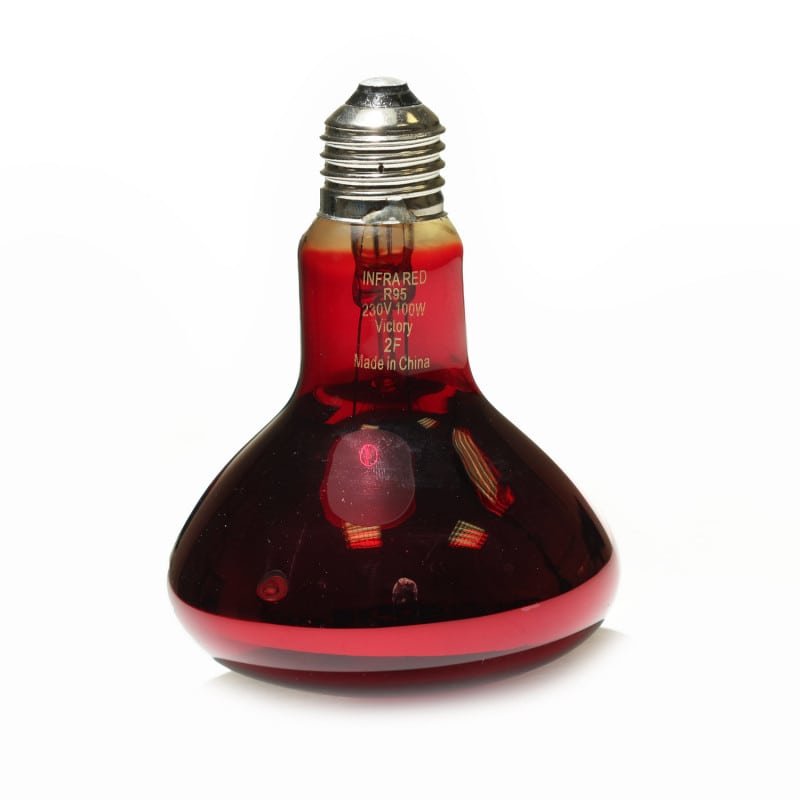 Bulb for Infrared Lamp standard