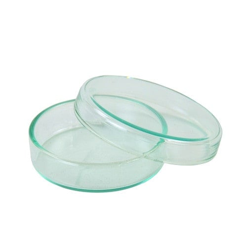 Petri Dish with Lid 6 cm