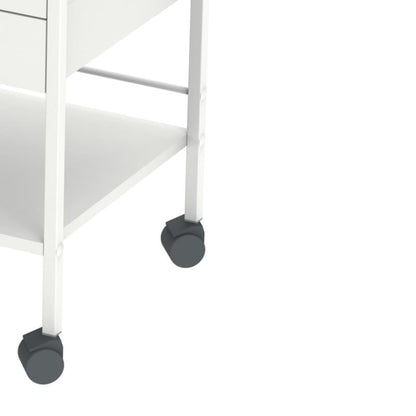 Multipurpose Trolley , 70.5 x 49 cm (H x W) 2 drawers
