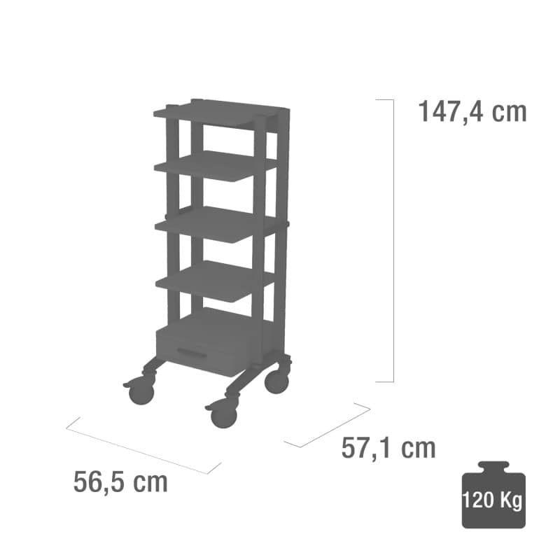 Doppio Endoscopy Trolley grey