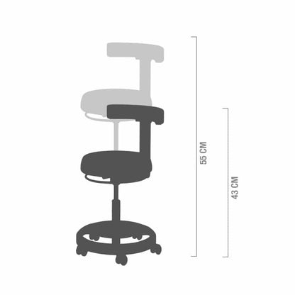 CDS 301 Swivel Chair light blue