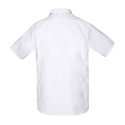 Draco Men's Shirt 38