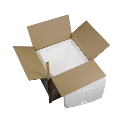 Biotherm Dry Ice System A, 30.8 x 30.8 x 21 cm