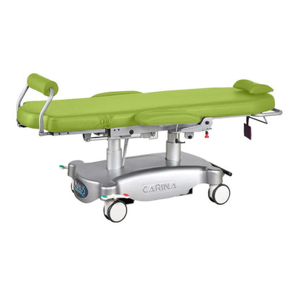 Multifunctional Treatment Chair fuschia